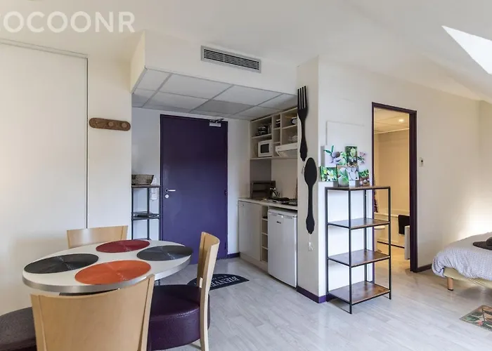 Grand 4 Personnes Bien Place Gare , Sanctuaire ,centre * Lourdes